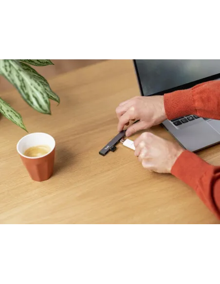 Trust Halyx  HUB USB-A 2.0 4 Puertos Gris