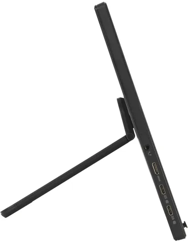 Asus ZenScreen MB169CK 15.6" Portátil LED IPS FullHD USB-C