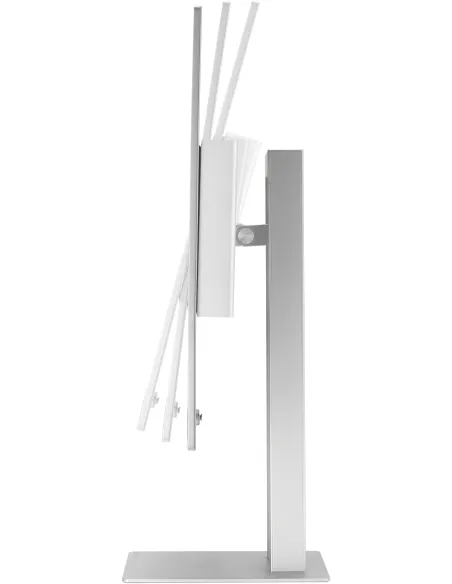 Asus ProArt OLED PA32UCDM 31.5" QD-OLED 4K UHD 240Hz