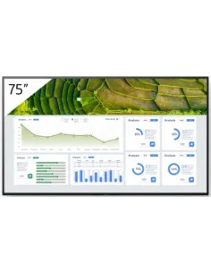 Sony FW-75BZ30L Pantalla Interactiva 75" LCD 4K UHD Negro-1369539