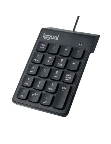Iggual IGG319956 Teclado Numérico USB Negro