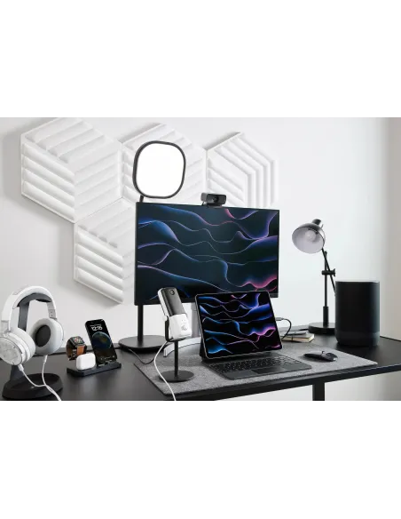 Elgato Facecam MK2 Webcam FullHD USB-C Negra