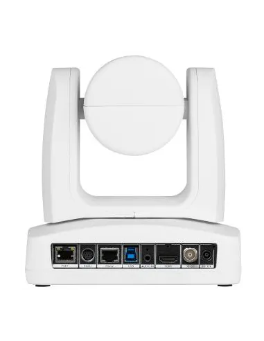 AVer PTZ231 Webcam para Conferencia FullHD Blanco