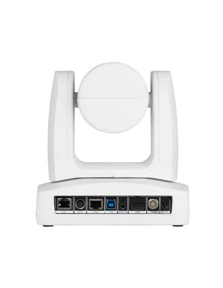 AVer PTZ231 Webcam para Conferencia FullHD Blanco