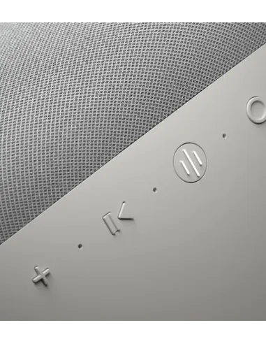 Bowers & Wilkins Zeppelin FP43028 Altavoz 240W Gris