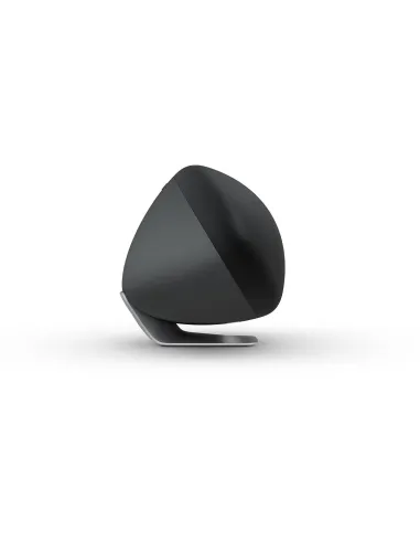 Bowers & Wilkins Zeppelin FP41955 Altavoz 240W Negro