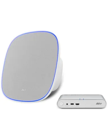 AVer FONE700 Altavoz Gris