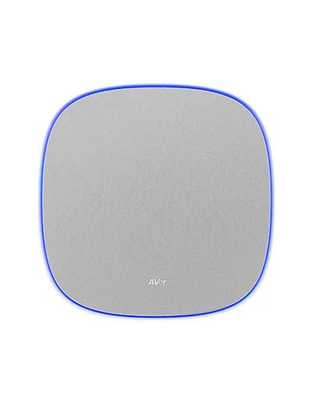 AVer FONE700 Altavoz Gris