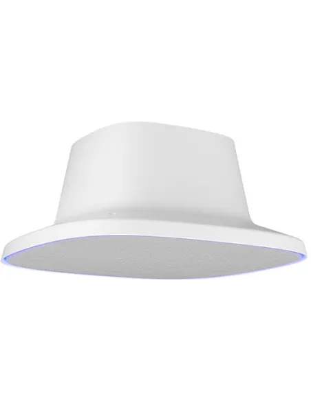 AVer FONE700 Altavoz Gris