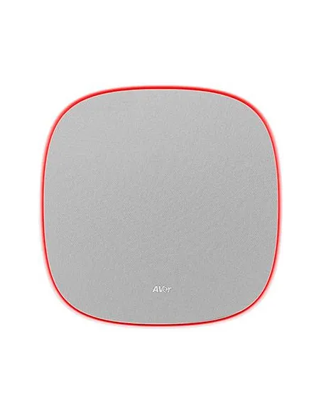 AVer FONE700 Altavoz Gris