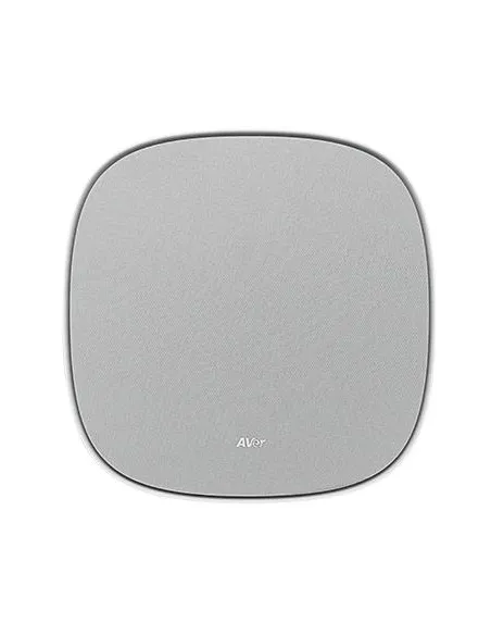 AVer FONE700 Altavoz Gris