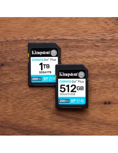 Kingston Technology Canvas Go Plus Gen 4 SDG4/64GB UHSI U3 V30 Negro