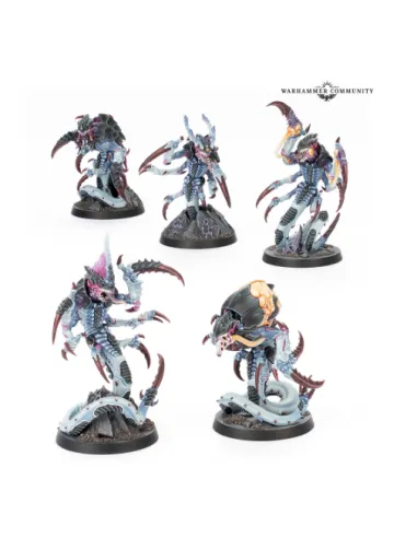 KILL TEAM: TYPHON (IDIOMA INGLÉS)