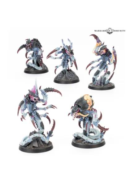 KILL TEAM: TYPHON (IDIOMA INGLÉS)