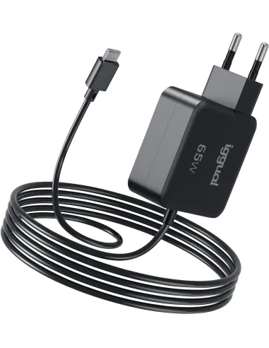 Iggual IGG319925 Cargador de Smartphone y Portátil USB-C 65W Negro