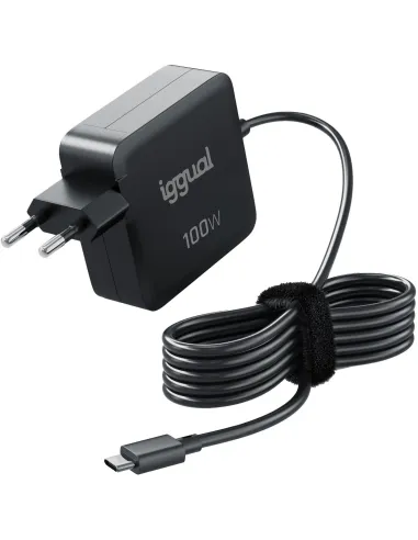Iggual IGG319918 Cargador de Smartphone y Portátil USB-C 100W Negro