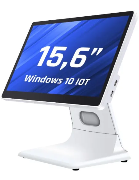 Iggual IGG320174 Intel N100/8GB/128GB/15.6" W10 IoT