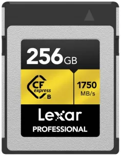 Lexar LCXEXPR256G-RNENG 256GB Flash CFexpress Tipo B Gris-1400325