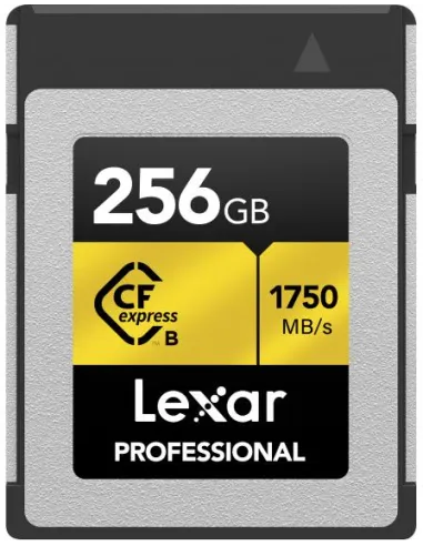 Lexar LCXEXPR256G-RNENG 256GB Flash CFexpress Tipo B Gris