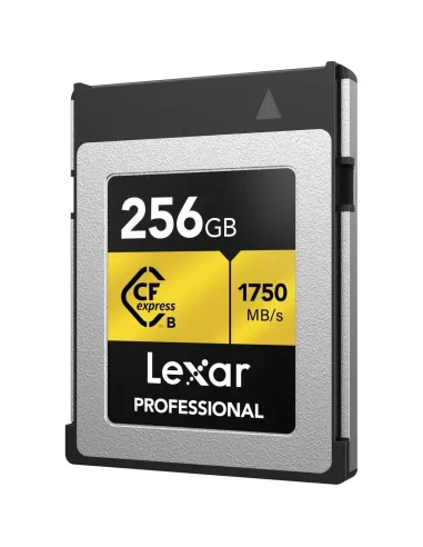 Lexar LCXEXPR256G-RNENG 256GB Flash CFexpress Tipo B Gris