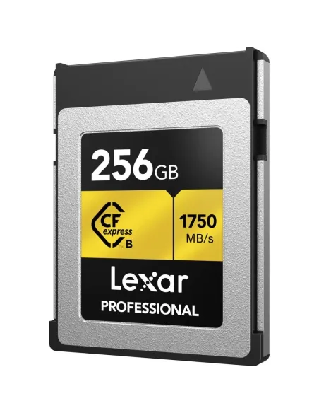 Lexar LCXEXPR256G-RNENG 256GB Flash CFexpress Tipo B Gris