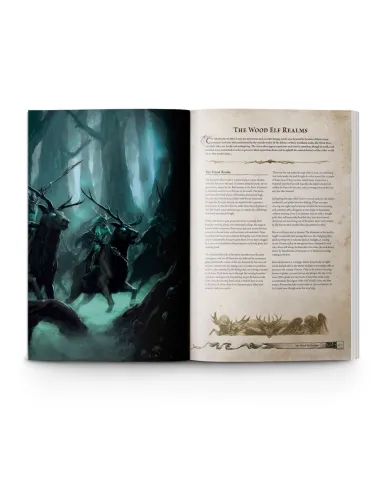 Warhammer:  The Old World: Forces of Fantasy (Inglés)