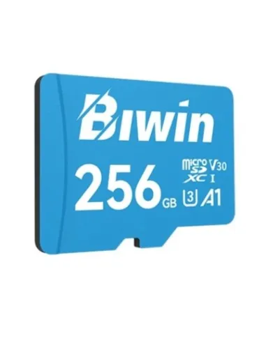 Biwin MS100 microSDXC UHS-1 256GB Clase 10 V30