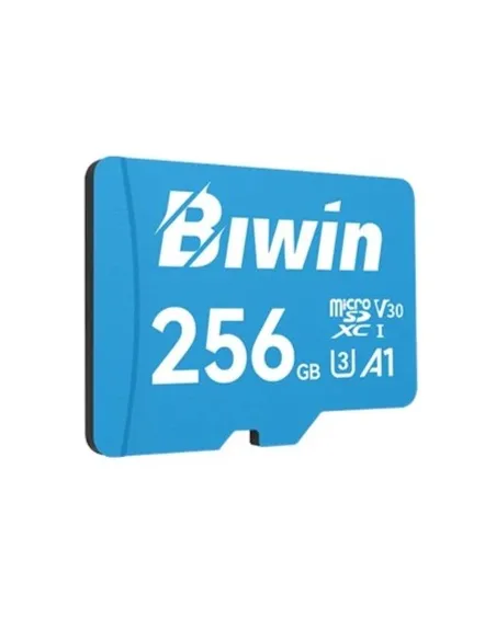 Biwin MS100 microSDXC UHS-1 256GB Clase 10 V30
