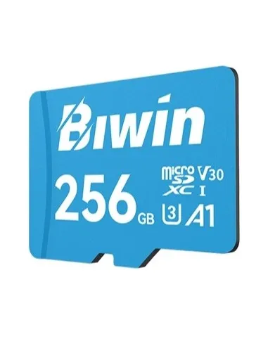 Tarjeta de Memoria Biwin MS100 256GB