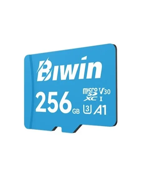 Tarjeta de Memoria Biwin MS100 256GB