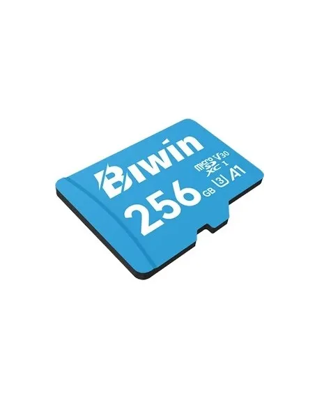 Tarjeta de Memoria Biwin MS100 256GB