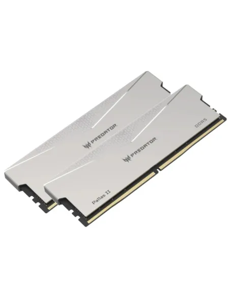 Memoria RAM Acer Predator Pallas II BL.9BWWR.651
