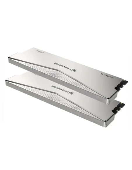 Memoria RAM Acer Predator Pallas II BL.9BWWR.651