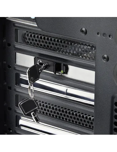 Adaptador de Almacenamiento Startech M2-REMOVABLE-PCIE-N1