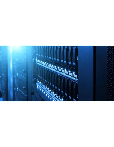 Disco Duro HDD WD Gold WD242KRYZ