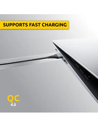 Cable USB Intenso 7901100