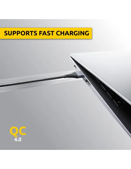 Cable USB Intenso 7901100