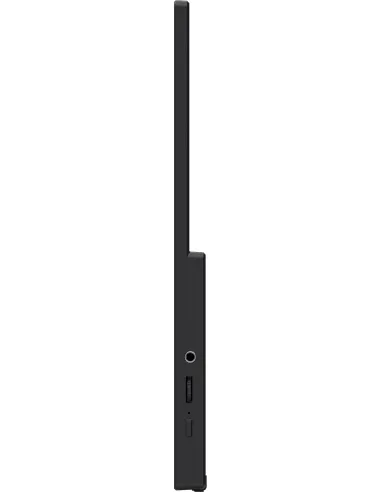 Monitor Portátil MSI PRO MP165 E6