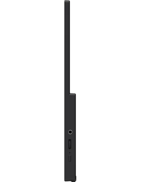 Monitor Portátil MSI PRO MP165 E6