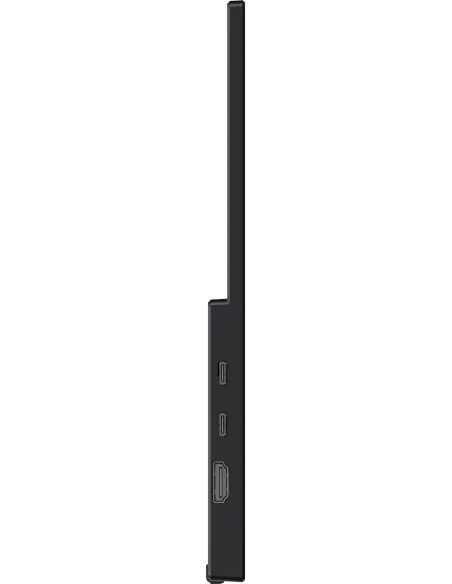 Monitor Portátil MSI PRO MP165 E6