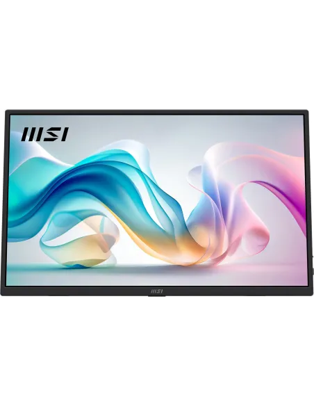 Monitor Portátil MSI PRO MP165 E6
