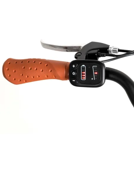 Bicicleta eléctrica Youin BK2128O