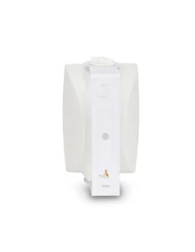 Altavoces LD Systems LDCWMS42W