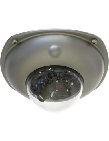 Mobotix MX-D15-VANDAL-ESMA Protector de Cámara de Vigilancia Gris