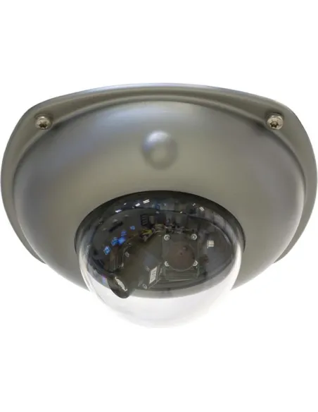 Mobotix MX-D15-VANDAL-ESMA Protector de Cámara de Vigilancia Gris