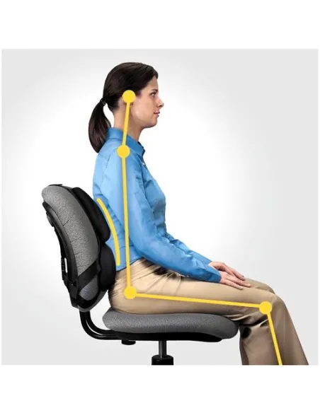 Soporte de malla Fellowes 8041801