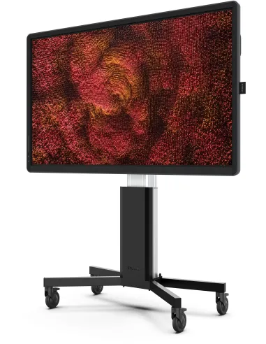 Pizarra Interactiva Ctouch 10052575