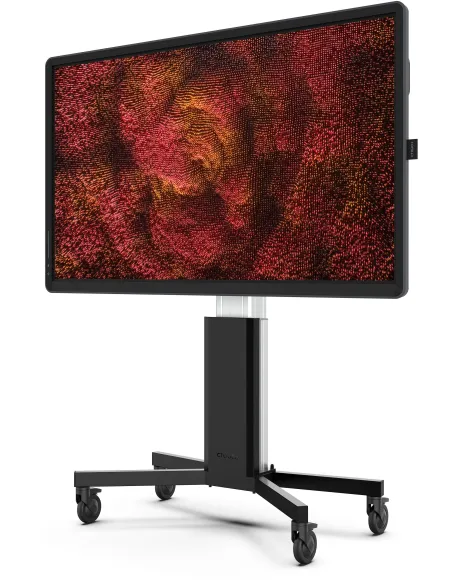 Pizarra Interactiva Ctouch 10052575