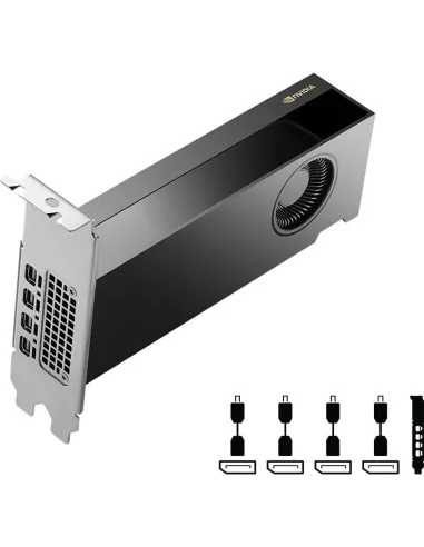 Tarjeta Gráfica Pny GeForce RTX 2000 Ada Generation