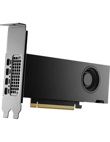 Tarjeta Gráfica Pny GeForce RTX 2000 Ada Generation